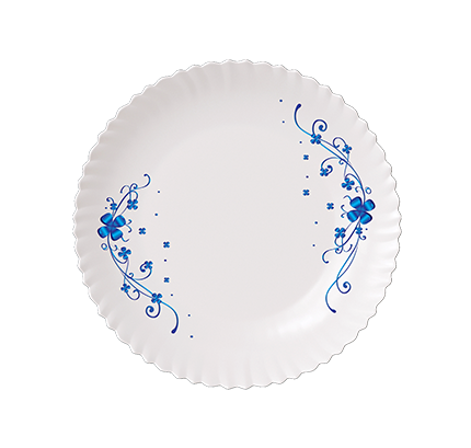 Plate1